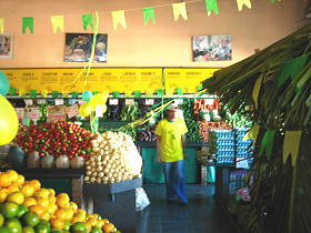 e0028810_262638.jpg