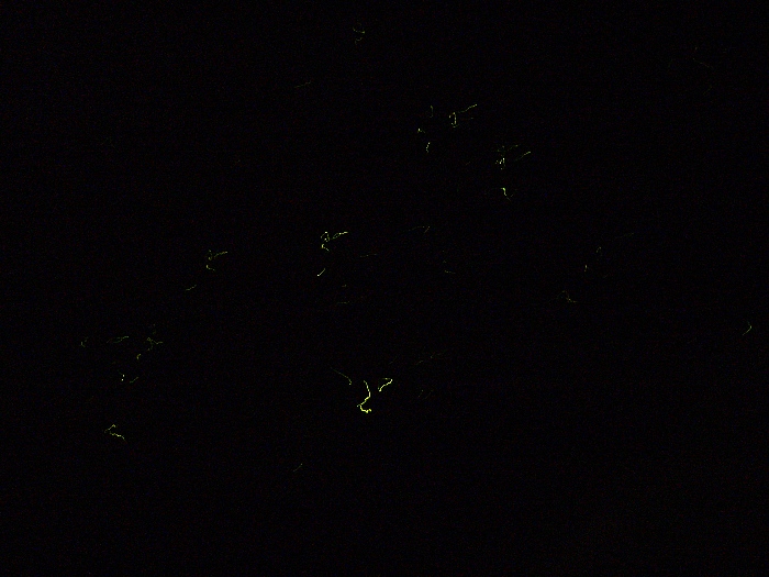 e0002314_214497.jpg