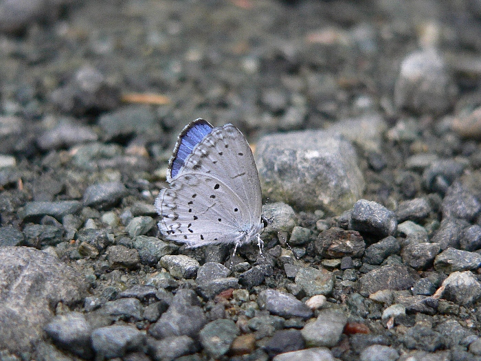 e0002314_223118.jpg