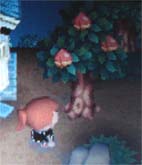 おいでよウィンダスの森_d0039216_2231954.jpg