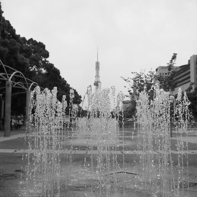 f0053529_91241.jpg