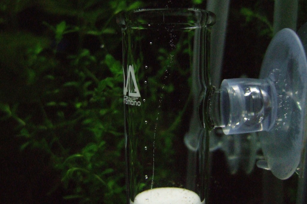 ADA パレングラス ADA PRODUCTS 進化論 「パレングラス・シリーズ」 | AQUA DESIGN AMANO