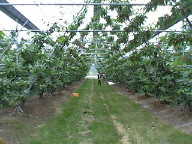 c0023937_21434381.jpg