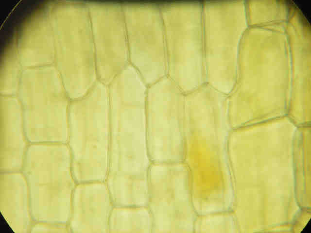 b0055151_16533587.jpg