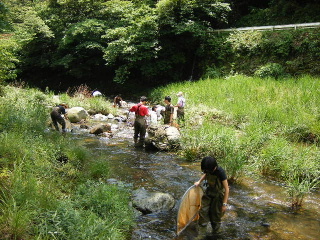 2006/6/18 紫川を調査してきたのら～_f0043559_20291389.jpg