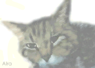 f0101759_0493127.gif