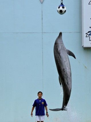 恒例の水族館_４館め_f0073061_5395261.jpg