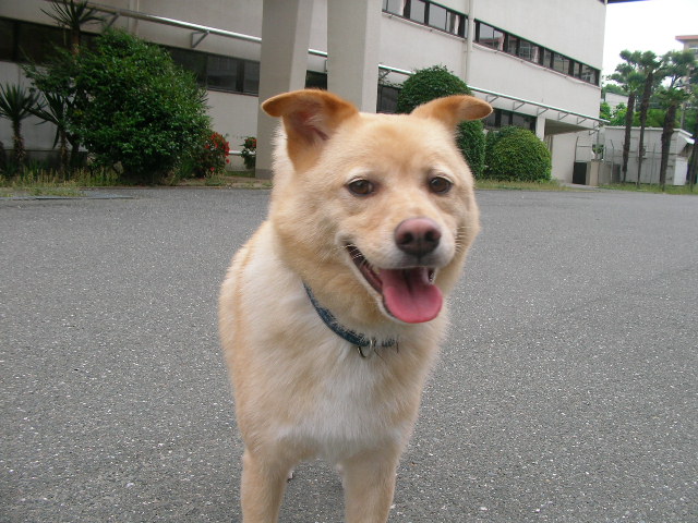 b0097394_14133169.jpg