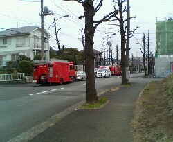 b0071405_11251037.jpg