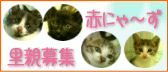 c0015610_2362358.gif