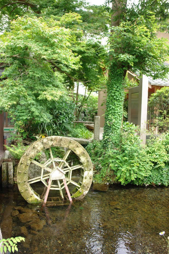 b0088444_1192124.jpg