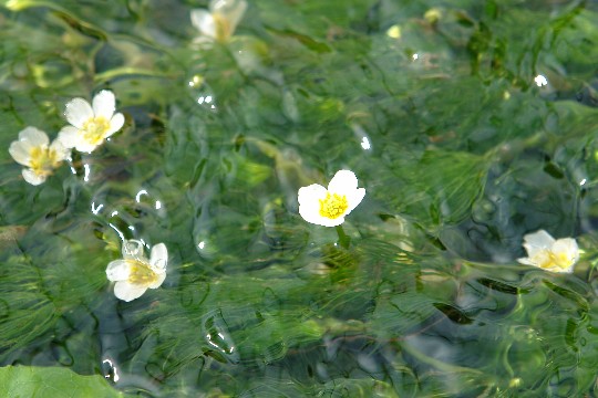 b0088444_1204775.jpg
