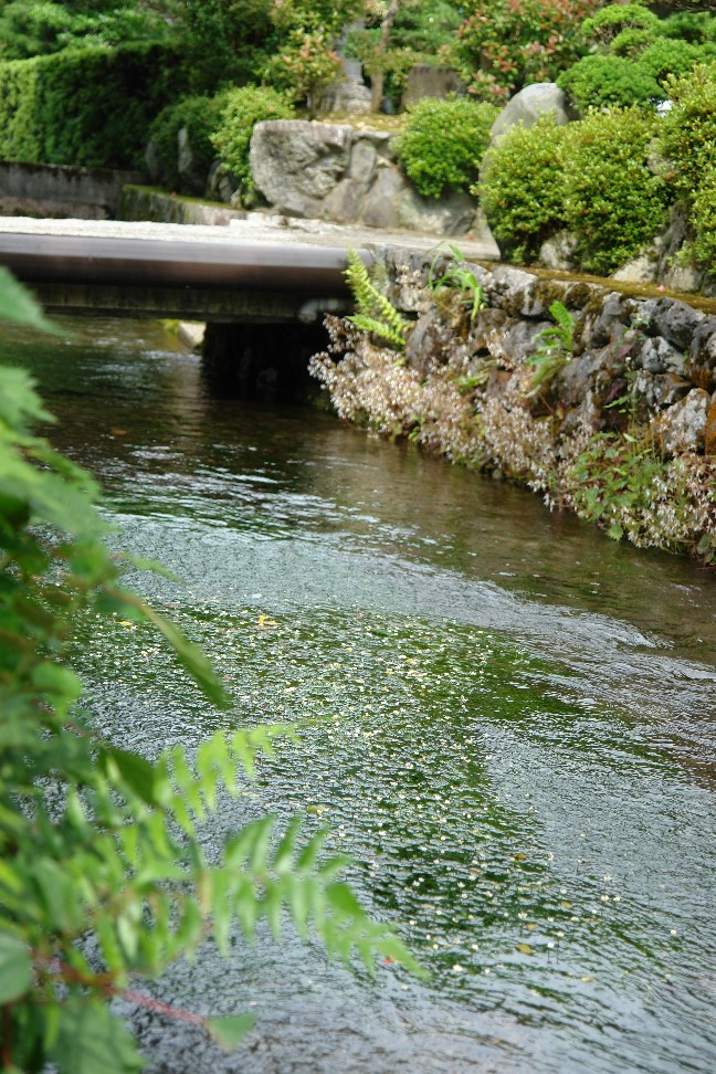 b0088444_127696.jpg