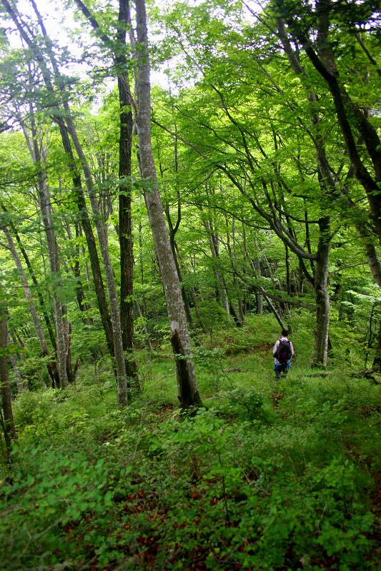 僕らの前には道がない（鹿留山）_c0008948_012513.jpg