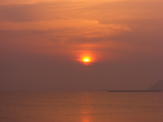 d0029756_2024681.jpg