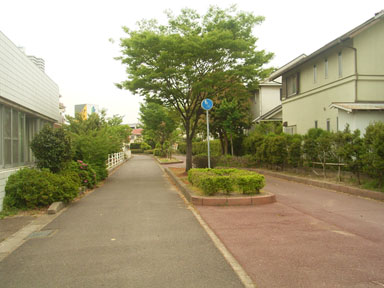c0057662_224506.jpg
