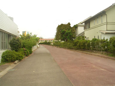 c0057662_225527.jpg