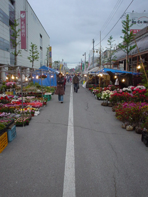 e0080165_2322286.jpg
