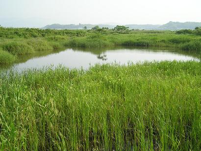 b0095981_753612.jpg