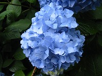黒船来航の街_a0036808_196933.jpg