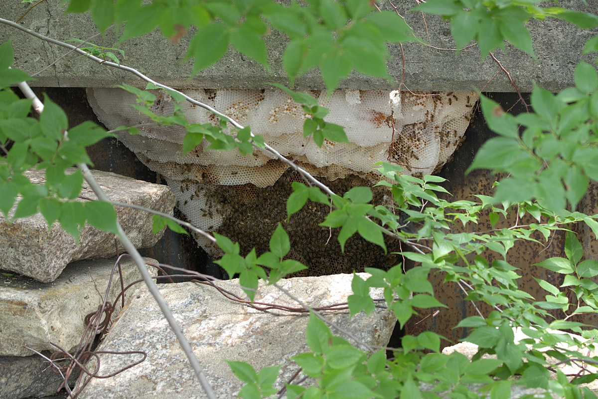 f0004525_19271873.jpg