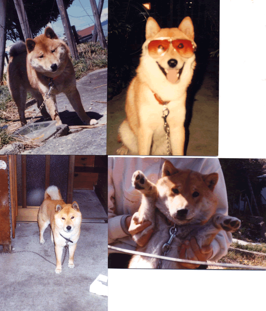 f0076833_22154724.gif