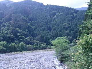 a0048040_17182577.jpg