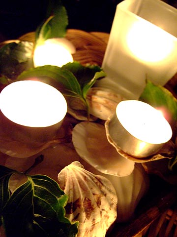 e0006242_1416451.jpg