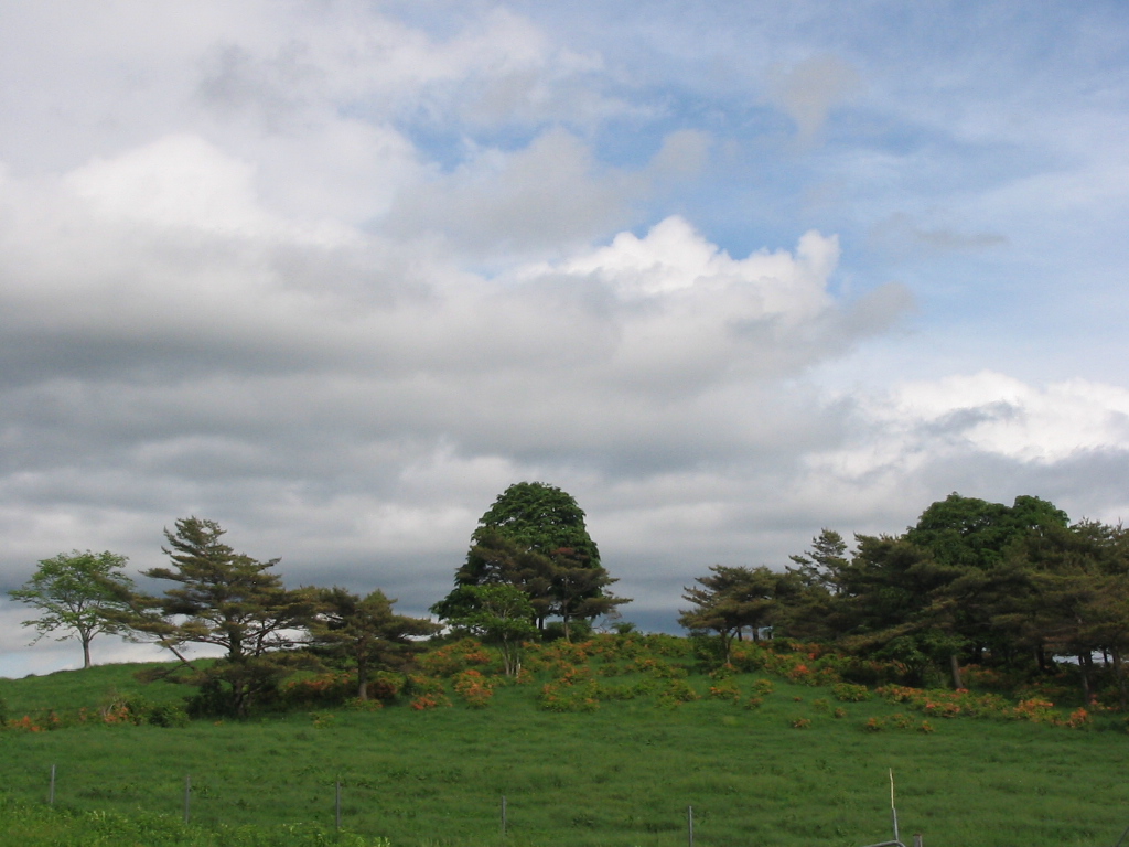 高清水な風景_d0001843_22403475.jpg