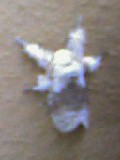 f0083649_12363580.jpg