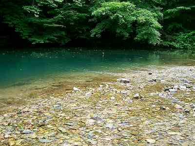 f0073059_00472.jpg