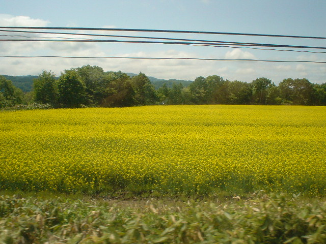 e0080165_15122976.jpg