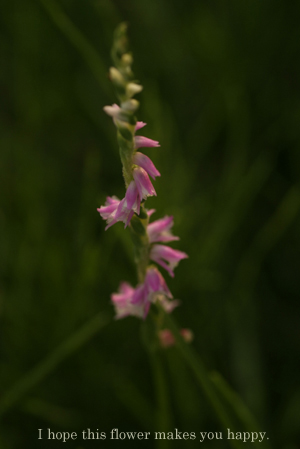 e0027083_20262657.jpg