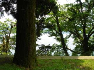 2006年6月20日 梅雨の合間のちょっといい日_b0098584_20113074.jpg