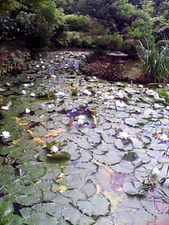 e0034994_20501.jpg