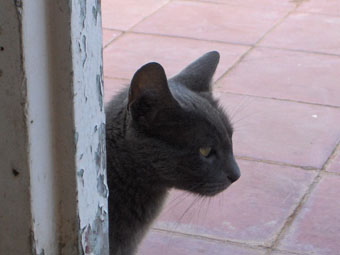 b0077906_025833.jpg