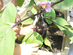 c0058507_17384277.jpg