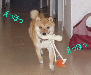 f0004309_1691744.jpg