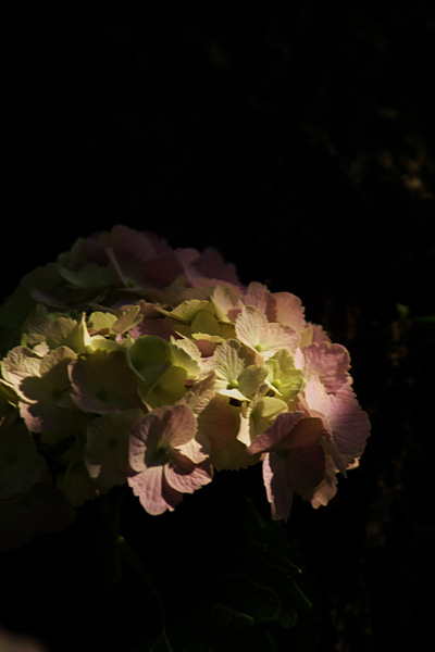 b0010915_22115212.jpg