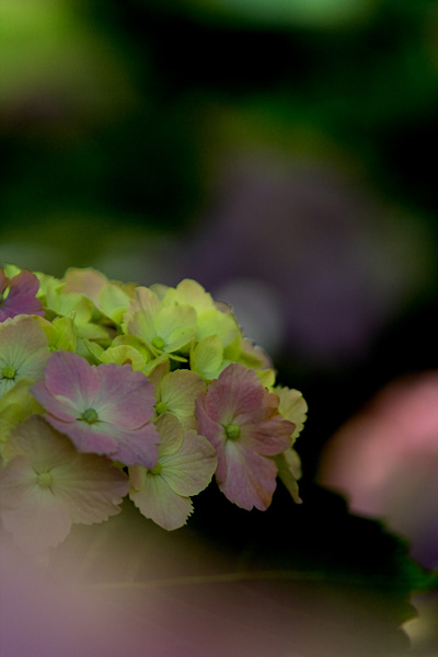 b0010915_227577.jpg