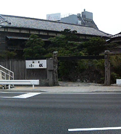 d0065116_16704.jpg