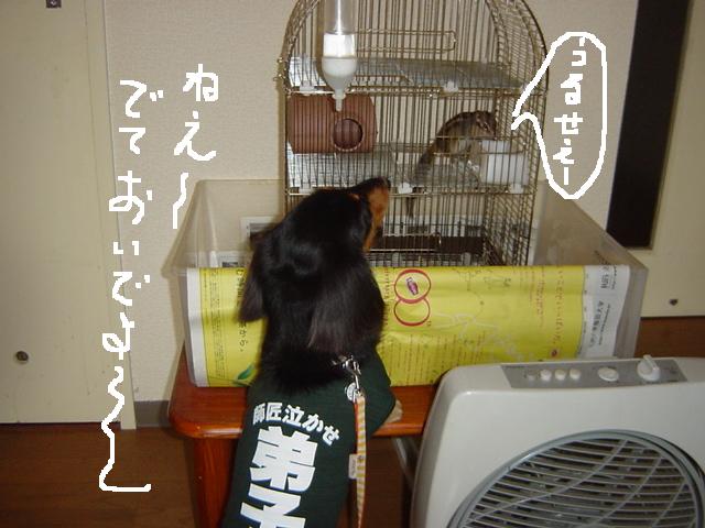 c0058727_2214457.jpg