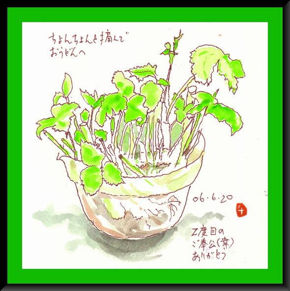 ざっくり切った三葉から　又・・・・_e0074955_8505169.jpg