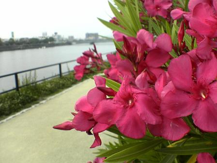 e0045768_2254132.jpg
