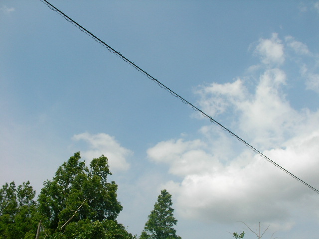 b0097394_1884070.jpg