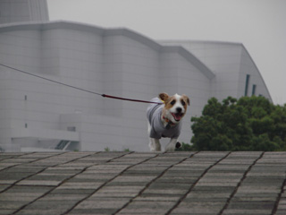 f0080105_03063.jpg