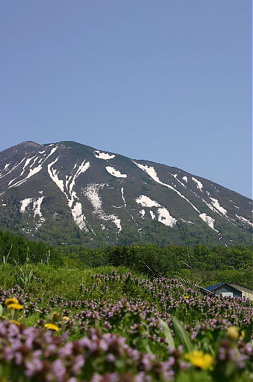 羊蹄山_a0071514_20352615.jpg