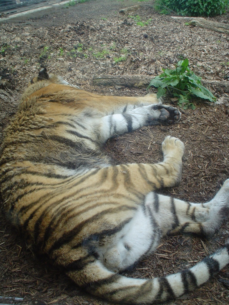 a0021727_21101515.jpg