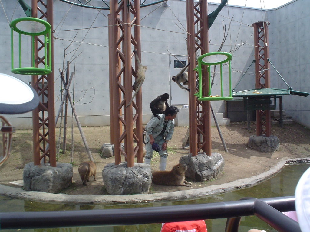 a0021727_21103229.jpg