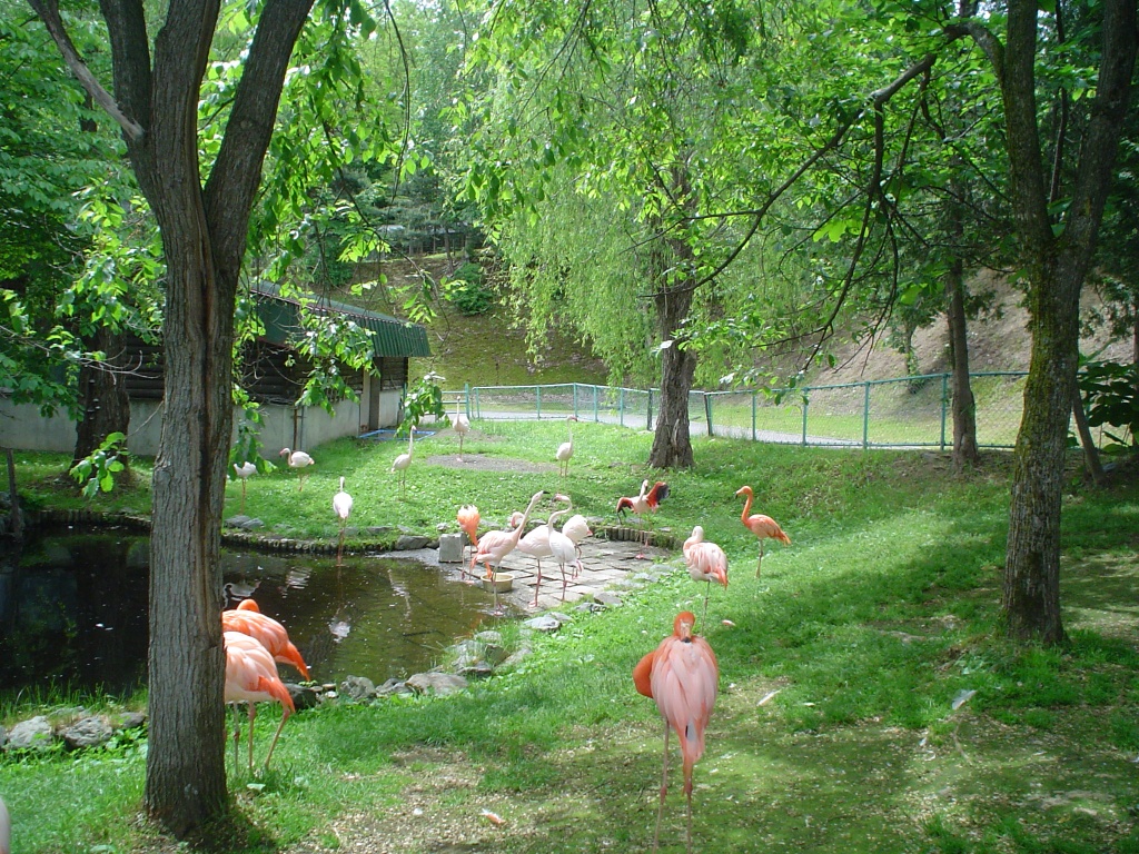 a0021727_2185641.jpg